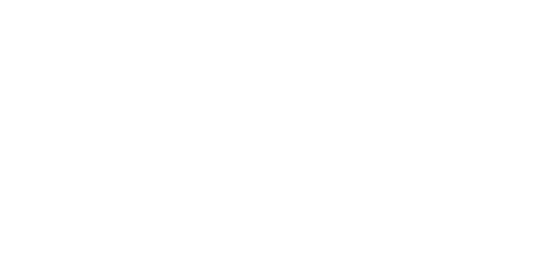 ceinaseg-logo-blanco