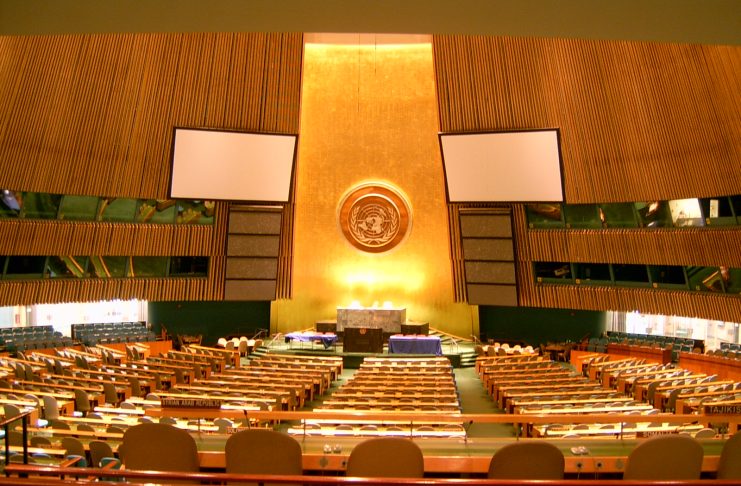 Artículo sobre el Modelo de Naciones Unidas en Nueva York