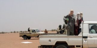 Jama’at Nusrat Al-Islam Wal-Muslimin (jnim) y El Sahel: Expansión, dinámica y proyecciones estratégicas