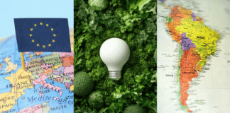 América Latina y la Unión Europea: ¿hacia una alianza de la energía verde?