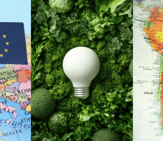 América Latina y la Unión Europea: ¿hacia una alianza de la energía verde?
